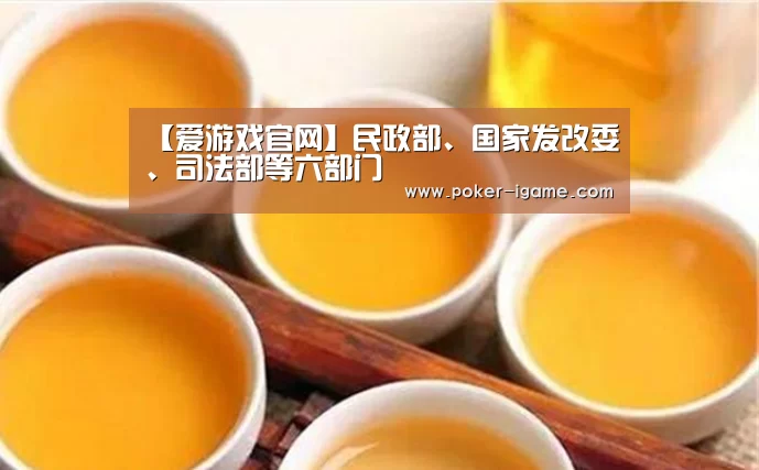 【爱游戏官网】民政部、国家发改委、司法部等六部门(图2) 爱游戏体育下载