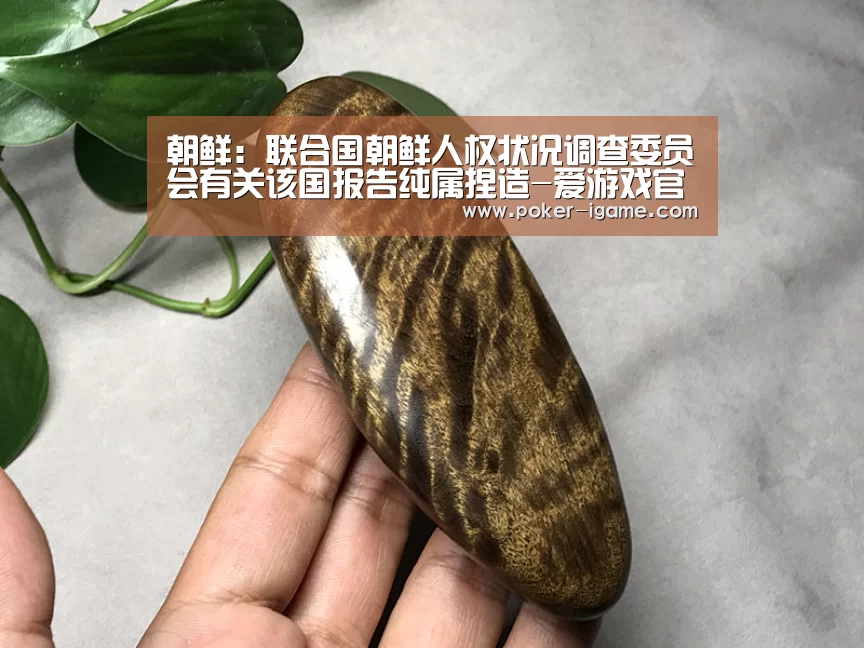 朝鲜:联合国朝鲜人权状况调查委员会有关该国报告纯属捏造-爱游戏官网(图3) 爱游戏体育下载