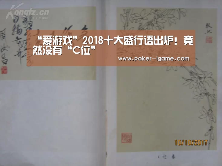 “爱游戏”2018十大盛行语出炉!竟然没有“C位”(图3) 爱游戏体育下载