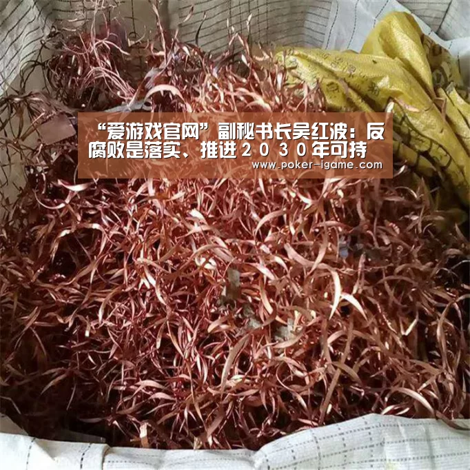 “爱游戏官网”副秘书长吴红波:反腐败是落实、推进2030年可持续发展议程的关键(图1) 爱游戏棋牌