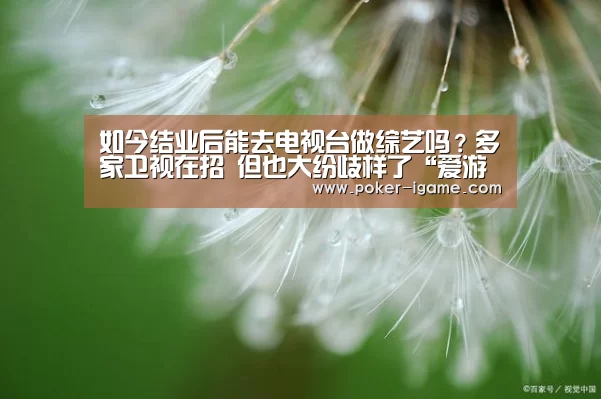 如今结业后能去电视台做综艺吗?多家卫视在招 但也大纷歧样了“爱游戏体育下载”(图2) 爱游戏