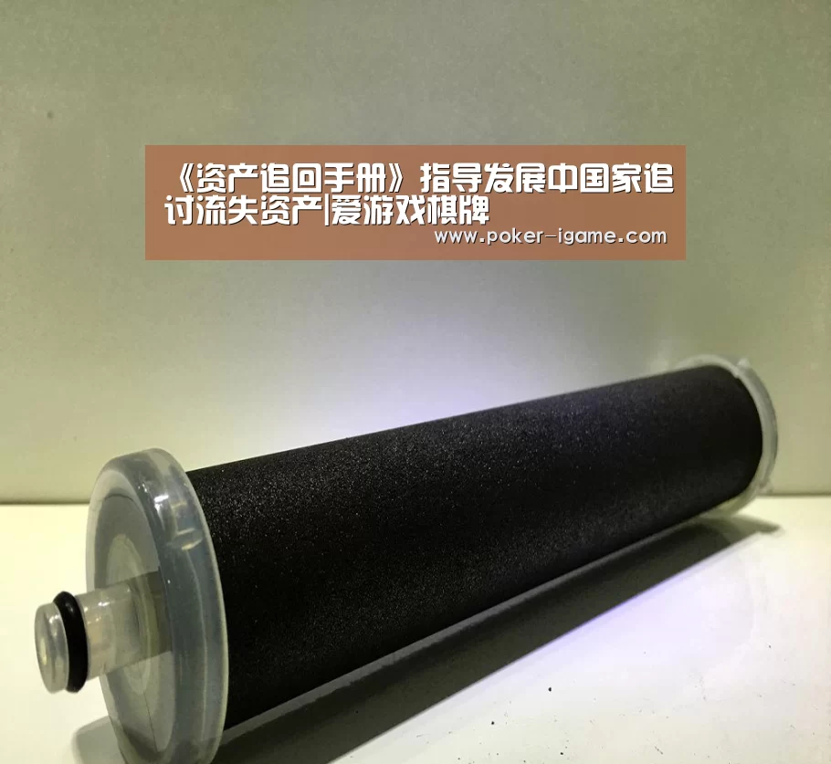 《资产追回手册》指导发展中国家追讨流失资产|爱游戏棋牌(图3) 爱游戏体育下载
