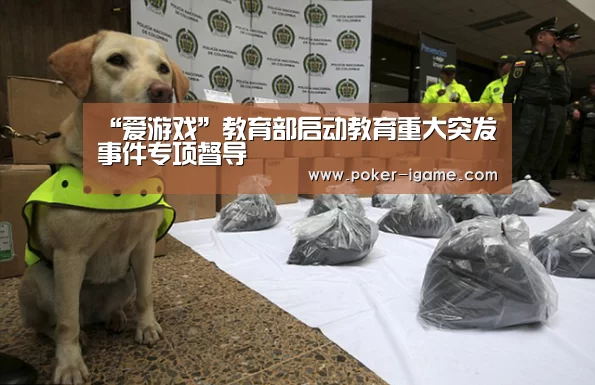 “爱游戏”教育部启动教育重大突发事件专项督导(图3) 爱游戏