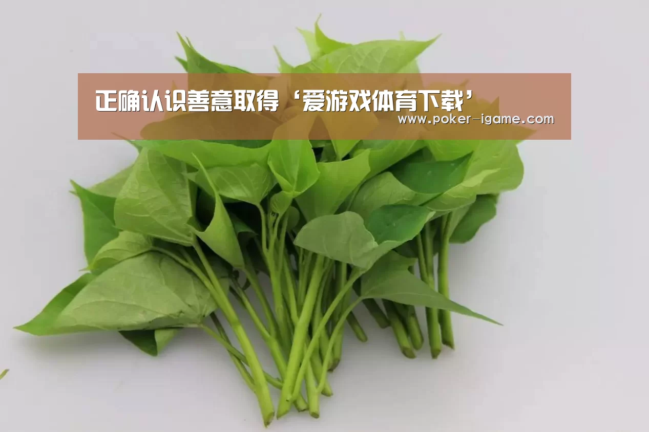 爱游戏