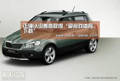 爱游戏棋牌