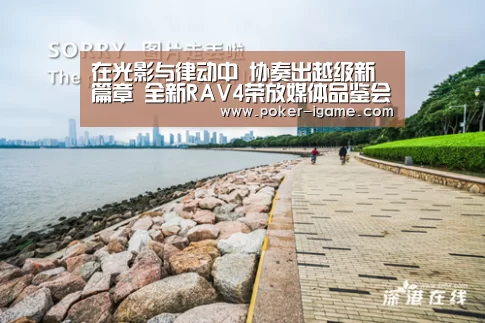 在光影与律动中 协奏出越级新篇章 全新RAV4荣放媒体品鉴会圆满乐成-爱游戏(图2) 爱游戏体育下载